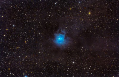 Challenge No 5 - BobHarmony - NGC7023 - Iris Nebula-2.jpg