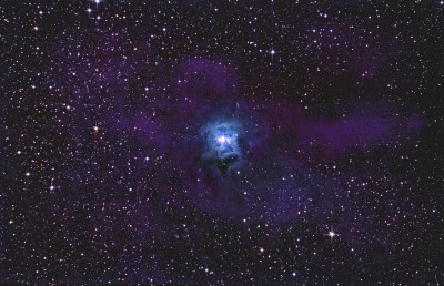 Challenge No 5 - BobHarmony - NGC7023 - Iris Nebula-singlefileopenlevels1.jpg