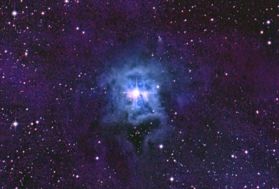 Challenge No 5 - BobHarmony - NGC7023 - Iris Nebula-singlefileopenlevelscrop.jpg