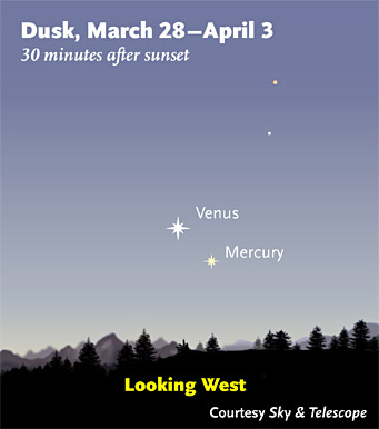 Venus and Mercury 2010.jpg