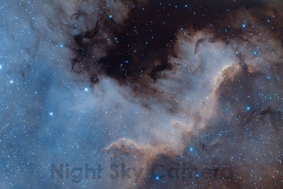 Gallery Cygnus Wall Hubble.jpg