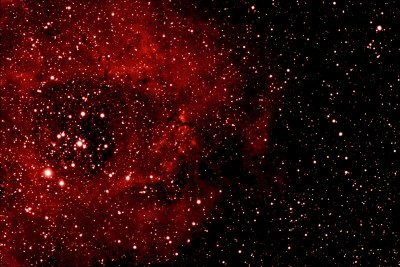 jpeg-T02-eddixon217-NGC 2238-20210405-213458-Color-BIN1-W-300-002a.jpg