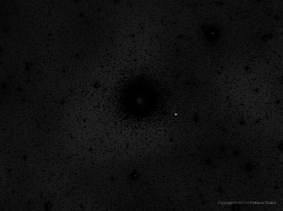 Juno-isolated-1000px.jpg