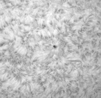 sun1607213monoangelwings.jpg