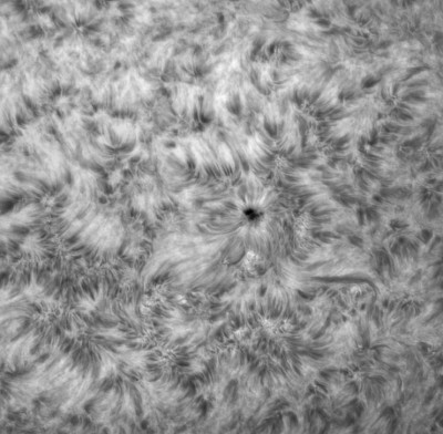 sun1607213monoangelwings2.jpg
