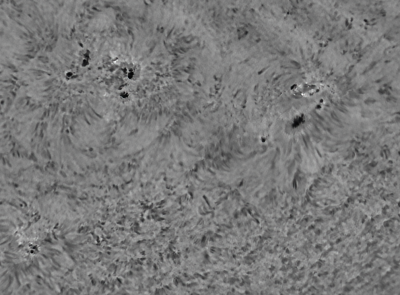 Sunspots 11 Sep 2021 (2866 2868 2869) in Ha