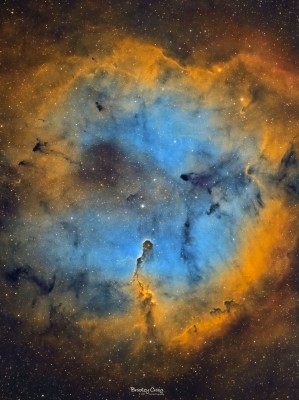 IC 1396 TSS.jpg