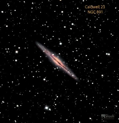 C23 NGC891 T2W-Edit-Edit-1.JPG
