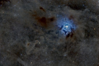 NGC7023s.jpg