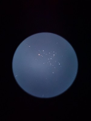 M6 Butterfly Cluster