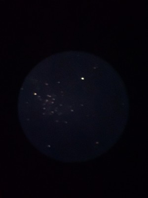 M23 Open Cluster