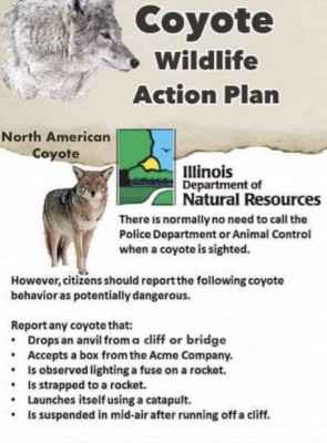 coyote action plan.jpg