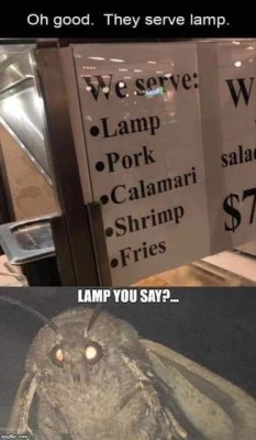 lamp on the menu.jpg