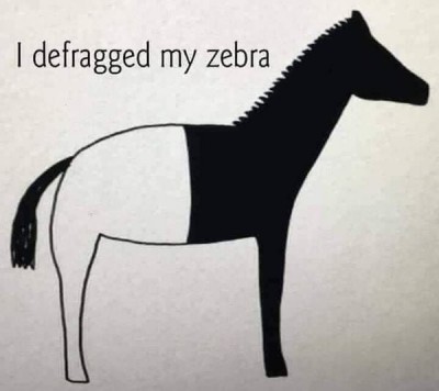 defragged zebra.jpg