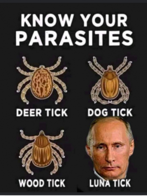 know youe ticks.png