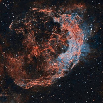 NGC3199_SHO_Final.jpg Sky Searchers.jpg