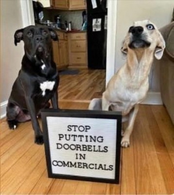 stop doorbells.jpeg