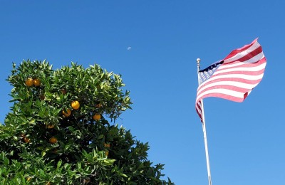 Moon Flag Oranges.jpg