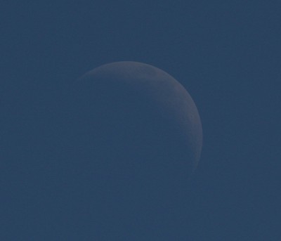 Moon_08-02-2022_02.JPG