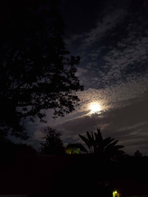 Moon and clouds 20220809.jpg
