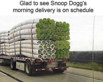 Snoop.jpg