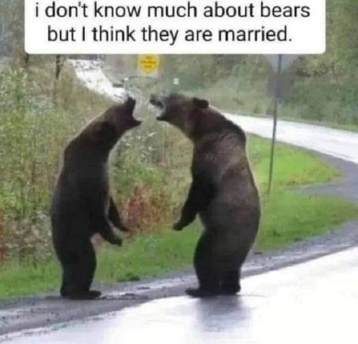 married bears.jpg