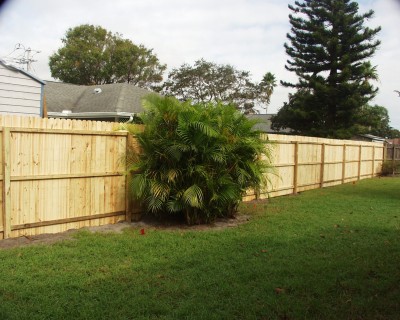 New Fence.JPG