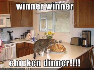 winner-winner-chicken-dinner-cat-meme.jpg