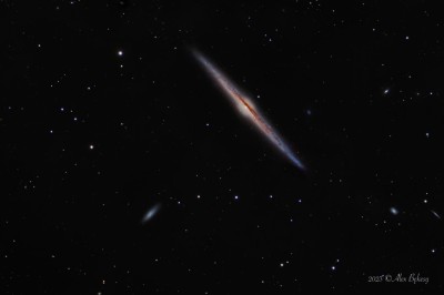NGC4565.jpg