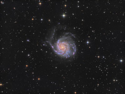 M101_2022 version.jpg