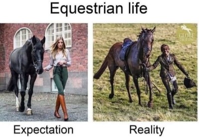 Equestrian Life - Expections vs Reality.jpg