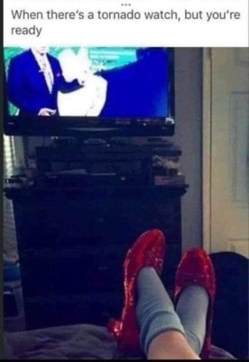 ruby slippers.jpeg