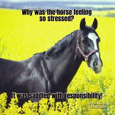 horse-joke.jpg