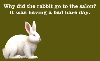 a_bad_hare_day_joke_for_rabbits_by_mjegameandcomicfan89_deh0g32-fullview.jpg