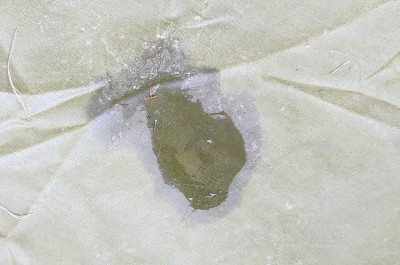 Water puddle in tent.jpg