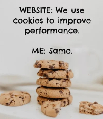 website cookies.png