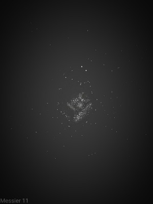 Messier 11.jpg