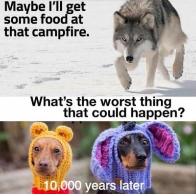 ancient wolves.jpg