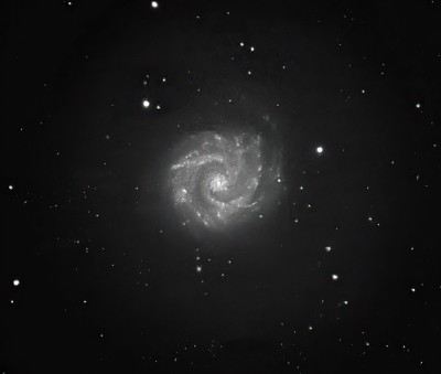 Steve-Bodin-NGC3631 copy.jpg