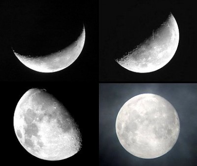 Lunar Phases - brightened.jpg