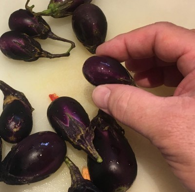 mini-eggplant.jpg