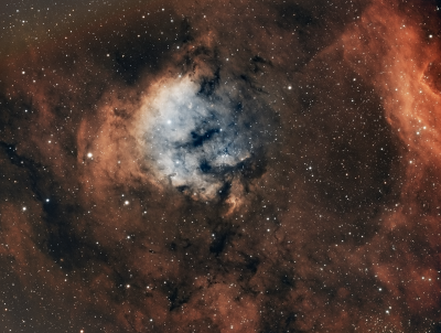 NGC7822 bicolor1.png