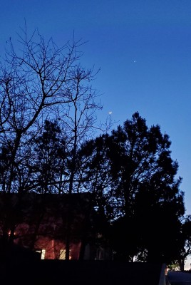 Moon and Venus 022620c.jpg