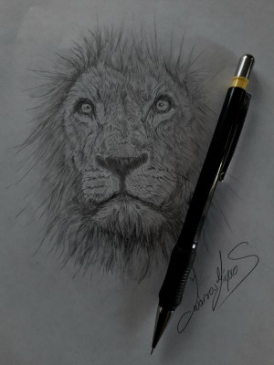 Lion king .jpg